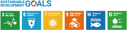 SDGs Logo